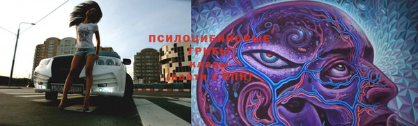 ПСИЛОЦИБИНОВЫЕ ГРИБЫ Горняк