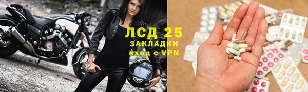 ПСИЛОЦИБИНОВЫЕ ГРИБЫ Горняк