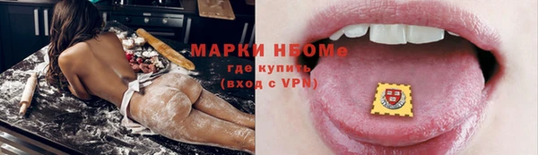 ПСИЛОЦИБИНОВЫЕ ГРИБЫ Горняк
